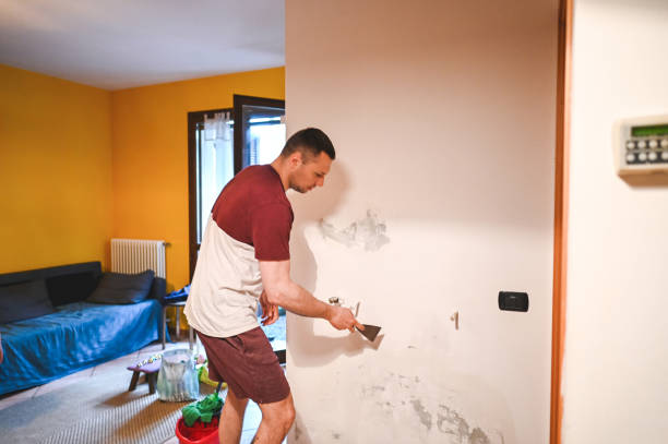 Trusted Timberville, VA Mold Removal Experts